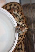 IMG_6284.JPG