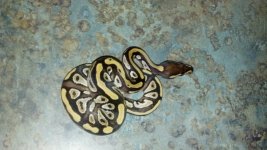 2012-06-23_16-18-24_722.jpg
