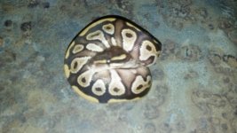 2012-06-23_16-20-26_783.jpg