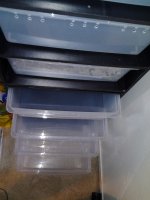IMG_20120413_162502.jpg