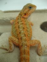 051512 PM1.JPG