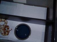 IMG_20120413_162419.jpg