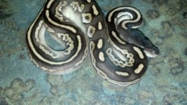 2012-06-23_16-29-09_109.jpg