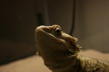 IMG_2011.jpg