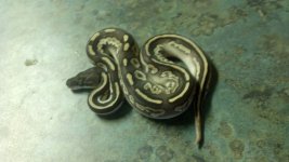 2012-06-23_16-29-25_326.jpg