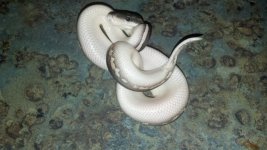 2012-06-23_16-30-01_91.jpg