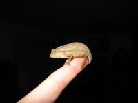 IMG_1754.jpg