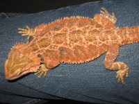 IMG_5214.JPG