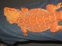 IMG_9038.JPG