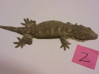 2012-05-29 20.04.35.jpg