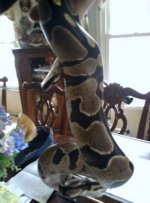 IMG_20120221_132602.jpg