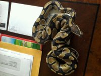 IMG_20120221_132625.jpg