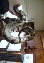 IMG_20120221_132641.jpg