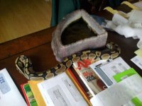 IMG_20120221_132732.jpg