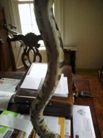 IMG_20120221_132758.jpg