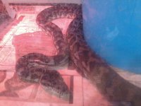 120405_002.jpg