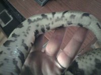 IMG_20120221_151944.jpg