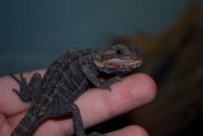 DSC_0714.jpg
