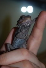 DSC_0715.jpg