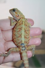 IMG_9921.jpg