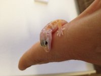 photo(8).jpg