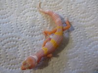 IMG_2720.jpg