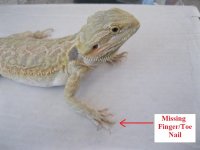 hypo2.jpg