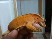 2012-04-11 21.42.26.jpg