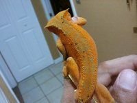 2012-04-11 21.42.16.jpg