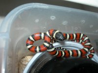 3-4-12_7.JPG