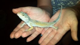 2012-06-01_21-29-22_166.jpg