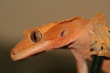 IMG_0050.jpg