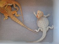 IMG_0797.jpg