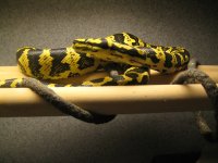 IMG_7734.jpg