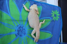 IMG_0248.jpg