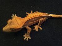 2012-01-16_18-39-06_951.jpg