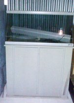 IMAG0233.jpg