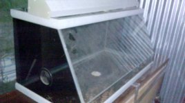 IMAG0228.jpg