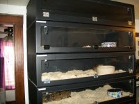 100_3802.jpg