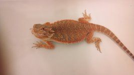2012-01-25_18-06-29_527.jpg