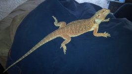 2012-03-29_16-17-29_208.jpg