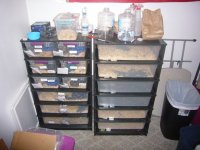 P1060234.jpg