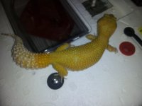 20120527_000325.jpg