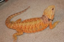 IMG_0883.jpg