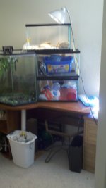 2012-02-22_12-09-07_842.jpg