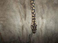 100_0301.jpg
