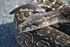 DSC_0048-2.jpg