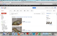 Screen Shot 2012-06-24 at 7.06.27 PM.jpg
