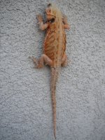 DSCF6813.jpg