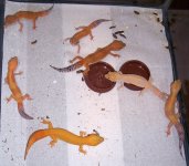 EB_8481.jpg